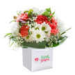 Effortlessly elegant yet brimming with joyful colour, this expertly arranged bouquet rests in a white square gift bag, ready to brighten days across Crayford. The composition features sumptuous coral and peach carnations whose frilly, delicate petals invite a sense of warmth, while luminous white daisies with cheerful, yellow-green centers peek up, adding a touch of gentle playfulness. Wispy clouds of baby's breath float between the blooms, their airiness filling the spaces with innocence and grace. On the left, a few purple-tipped buds remain tightly furled, suggesting new beginnings and the endless possibilities of the changing seasons in Crayford. Deep green, glossy leaves encircle the bouquet, lending a protective embrace and drawing the eyes inward to the heart of the display. Every detail pops against the pure white background, highlighting the freshness and quality that local Crayford florists are proud to deliver-whether for a milestone celebration, a heartfelt thank you, or the simple wish to make someone smile on Town Hall Square. The sturdy gift bag's ribbon handles invite easy carrying, symbolising the care that goes into every arrangement. Altogether, this bouquet is a testament to thoughtful floristry rooted in community spirit and the promise of memorable moments made just a little brighter.