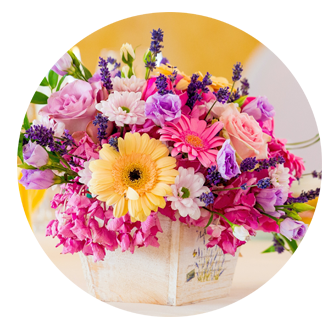 Birthday Flowers Crayford